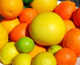 Fruit Salad Tree Company - Accommodation Adelaide 2