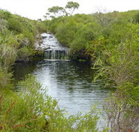 Booderee National Park Green Patch and Telegraph Creek Walking Tracks - Accommodation Adelaide