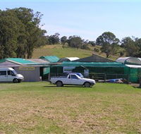 Tinonee Orchid Nursery - Accommodation Adelaide