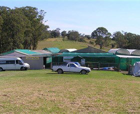 Tinonee Orchid Nursery - Accommodation Adelaide 0