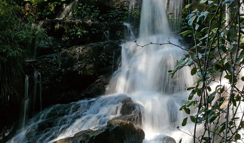 Bangalore Falls Walking Track - Accommodation Adelaide 3