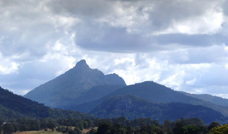 Murwillumbah South NSW Accommodation Adelaide