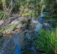 Dawson River walking track - Accommodation Adelaide