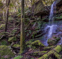 Coorabakh National Park - Accommodation Adelaide