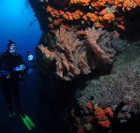 Gotham City Dive Site - Accommodation Adelaide