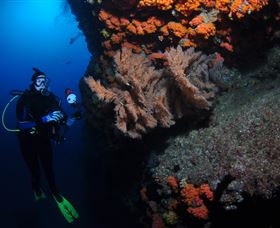 Gotham City Dive Site - Accommodation Adelaide 0