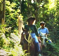 Clarendon Forest Retreat Horse Riding - Accommodation Adelaide