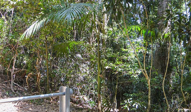 Midginbil NSW Accommodation Adelaide