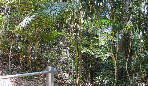 Goorgana Walking Track - Accommodation Adelaide 0