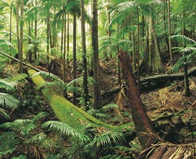 Murwillumbah NSW Accommodation Adelaide