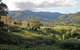 Mount Nardi Picnic Area - thumb 0