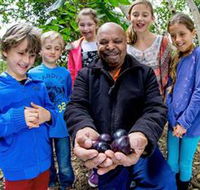 Wigay Aboriginal Culture Park - Accommodation Adelaide