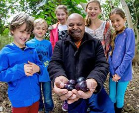 Wigay Aboriginal Culture Park - Accommodation Adelaide 0
