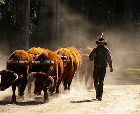 Timbertown Heritage Theme Park - Accommodation Adelaide 1