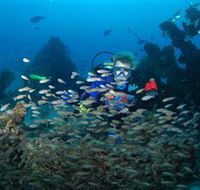 Aarhus Dive Site - Accommodation Adelaide
