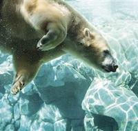 Australia's Sea World - Accommodation Adelaide