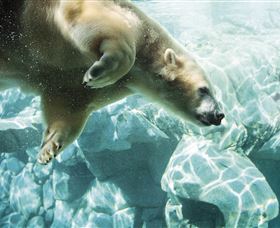 Australia's Sea World - Accommodation Adelaide 0