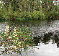 Wallingat National Park - Accommodation Adelaide