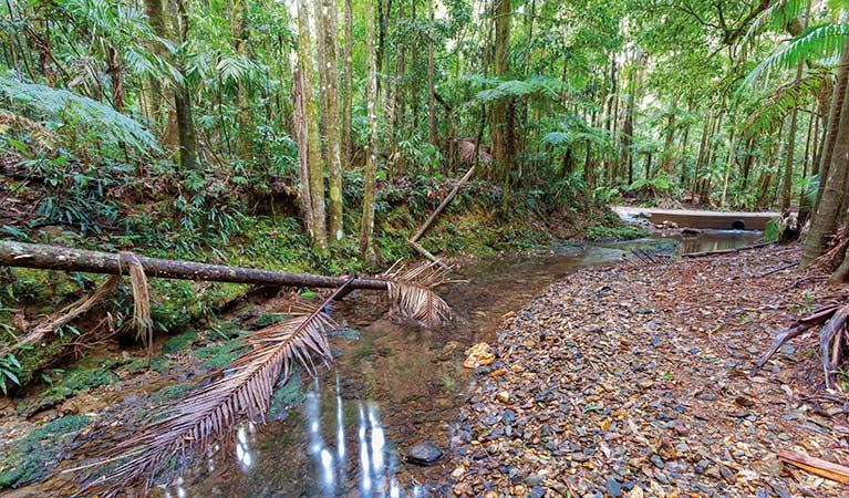 Karangi NSW Accommodation Adelaide