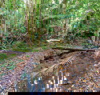 Ulidarra National Park - Accommodation Adelaide