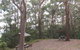 Orara East State Forest - thumb 2