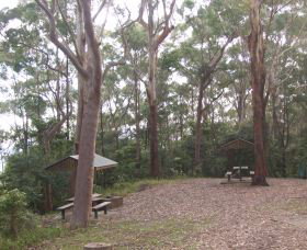 Orara East State Forest - Accommodation Adelaide 2