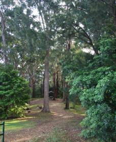 Orara East State Forest - Accommodation Adelaide 1