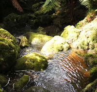 South East Forests National Park - Accommodation Adelaide