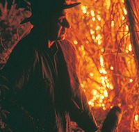 The Shed Gallery - Accommodation Adelaide