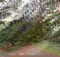 End Peak walking track - Accommodation Adelaide