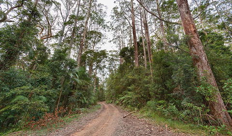 End Peak Walking Track - Accommodation Adelaide 0