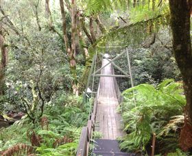 Bemm River Scenic Reserve - Accommodation Adelaide 0