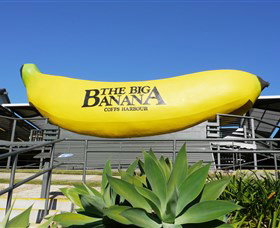 The Big Banana - Accommodation Adelaide 0