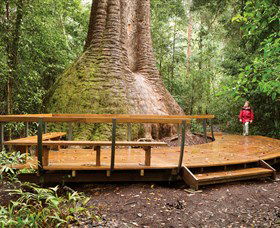 Burrawan State Forest - Accommodation Adelaide 0