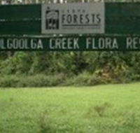 Woolgoolga Creek Flora Reserve - Accommodation Adelaide