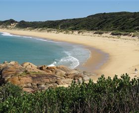 Cape Conran Nature Trail - Accommodation Adelaide 1