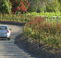 Cassegrain Wines - Accommodation Adelaide