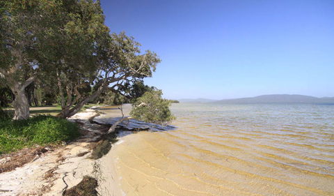 Booti Booti National Park - Accommodation Adelaide 1