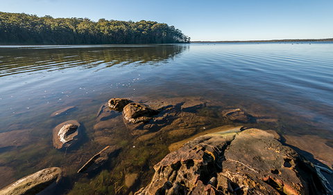 Queens Lake Nature Reserve - Accommodation Adelaide 0