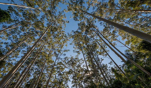 Queens Lake Nature Reserve - Accommodation Adelaide 2