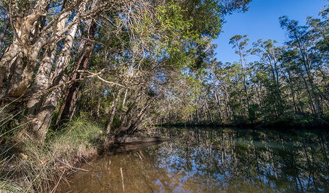 Queens Lake Nature Reserve - Accommodation Adelaide 3
