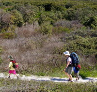 Yuraygir coastal walk - Accommodation Adelaide