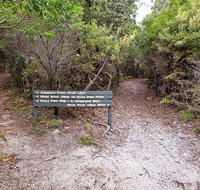 Angophora grove walking track - Accommodation Adelaide