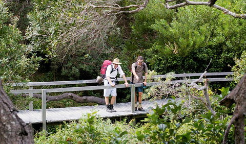 Wilsons Headland Walking Track - Accommodation Adelaide 0