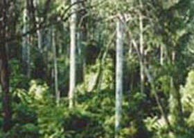 Lind National Park - Accommodation Adelaide 0