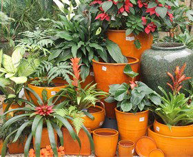 Diamond Waters Garden Nursery - Accommodation Adelaide 1