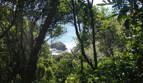 Rainforest Walking Track - Accommodation Adelaide 0