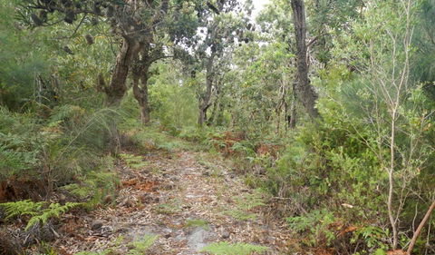 Kinchela Trig Lookout Walk - Accommodation Adelaide 0