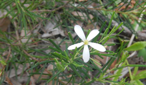 Kinchela Trig Lookout Walk - Accommodation Adelaide 3