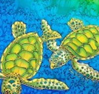 Sea Silks Gallery - Accommodation Adelaide